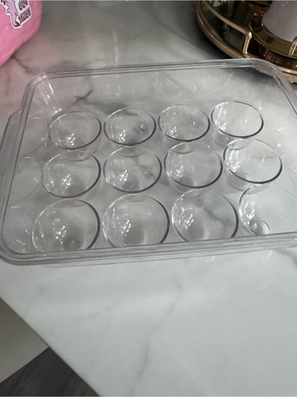 Clear Plastic 12-Egg Storage Tray - White/Clear